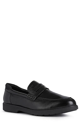 Geox Spherica Penny Loafer Black at Nordstrom,