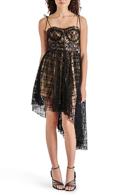 Steve Madden Dali Floral Lace Asymmetric Hem Dress in Black at Nordstrom, Size Medium