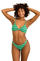 Dippin Daisys Seaport Thong Bikini Bottom Green Moto Stripe at Nordstrom,