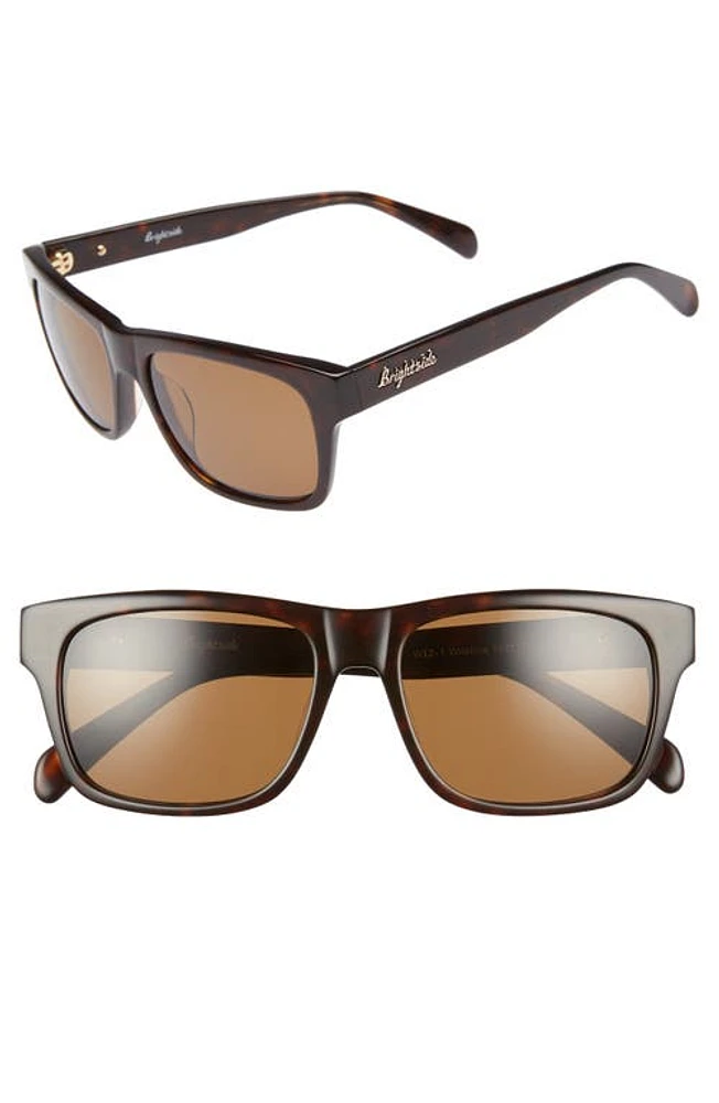 Brightside Wilshire 55mm Square Sunglasses in Tortoise/Brown at Nordstrom