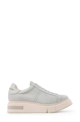 Paloma Barcelo Agen Sneaker Light Grey at Nordstrom,