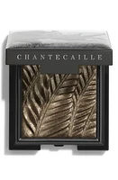 Chantecaille Luminescent Eye Shade Eyeshadow in Rhino at Nordstrom