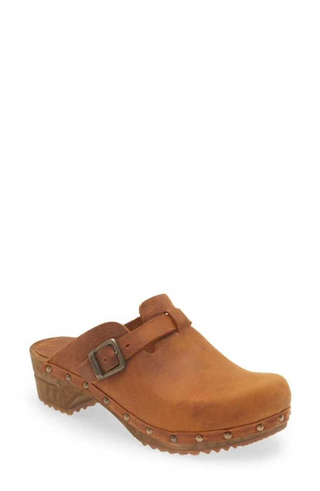 Sanita Kristel Stud Leather Clog at Nordstrom,