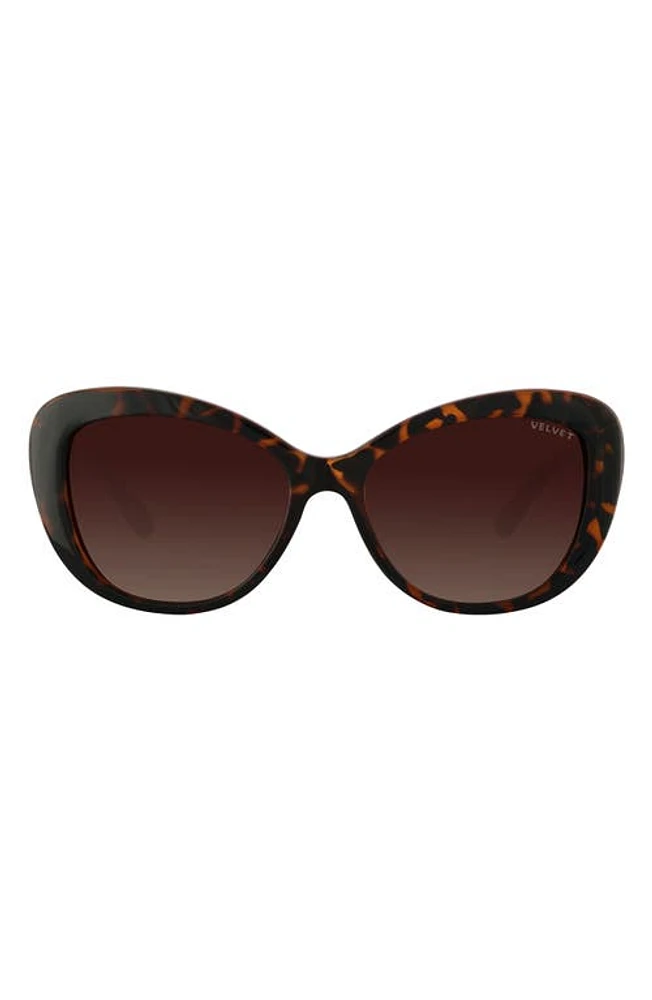 Velvet Eyewear Chrystie 55mm Cat Eye Sunglasses in Dark Tortoise at Nordstrom