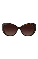 Velvet Eyewear Chrystie 55mm Cat Eye Sunglasses in Dark Tortoise at Nordstrom