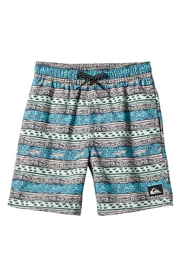 Quiksilver Kids' Everyday Heritage Volley Swim Trunks at Nordstrom,