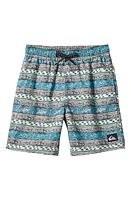 Quiksilver Kids' Everyday Heritage Volley Swim Trunks at Nordstrom,