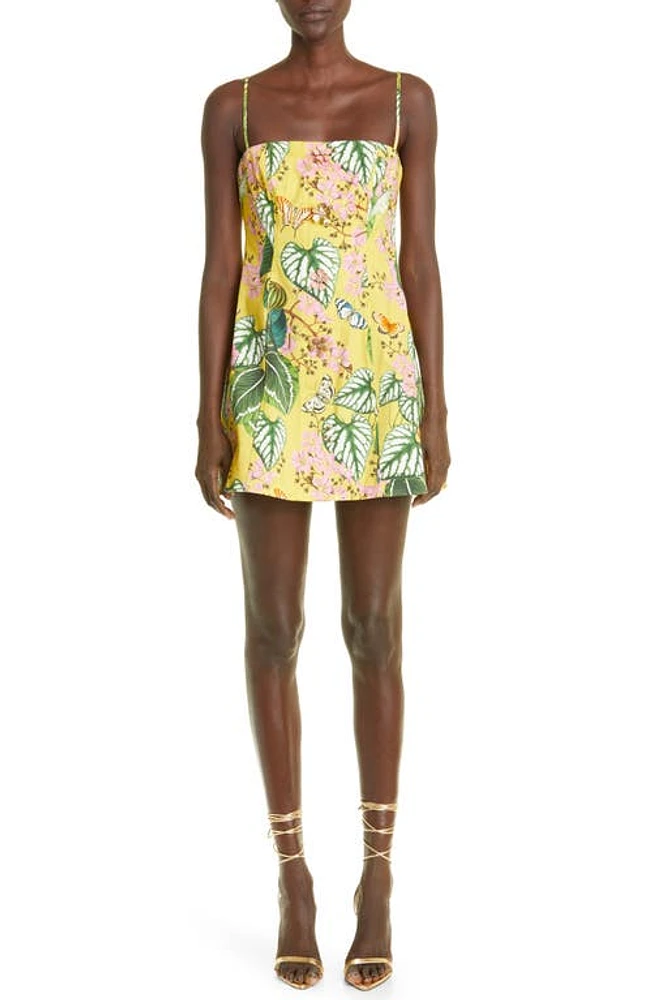 Oscar de la Renta Botanical Print Button Front Stretch Cotton Minidress in Daffodil Multi at Nordstrom, Size 4