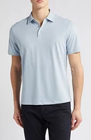 Robert Barakett Texture Polo at Nordstrom,