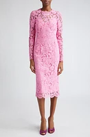 Dolce & Gabbana Long Sleeve Cordonetto Lace Sheath Dress Rosa at Nordstrom, Us