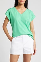 caslon(r) Extended V-Neck T-Shirt at Nordstrom,