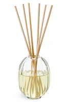 Diptyque Figuier (Fig) Reed Diffuser in Regular at Nordstrom, Size 6.76 Oz