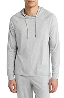 Nordstrom Organic Cotton & Tencel Modal Hoodie at Nordstrom,