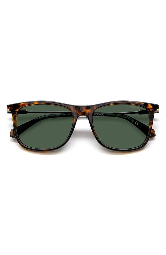 Polaroid 55mm Polarized Rectangular Sunglasses in Havana/Green Polarized at Nordstrom