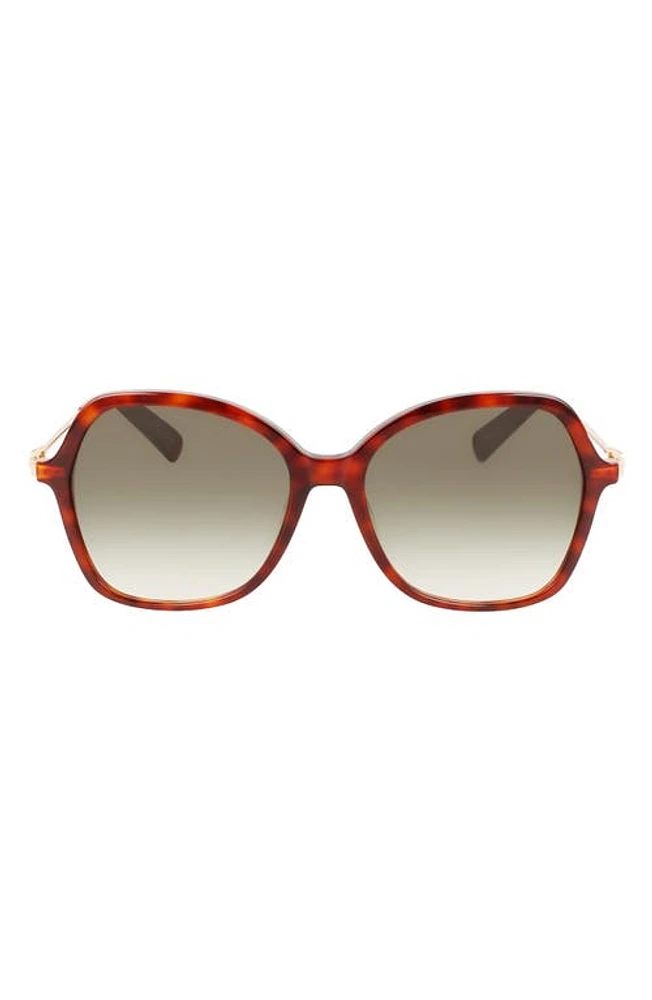 Longchamp 57mm Amazone Modified Rectangle Sunglasses in Havana at Nordstrom