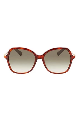 Longchamp 57mm Amazone Modified Rectangle Sunglasses in Havana at Nordstrom