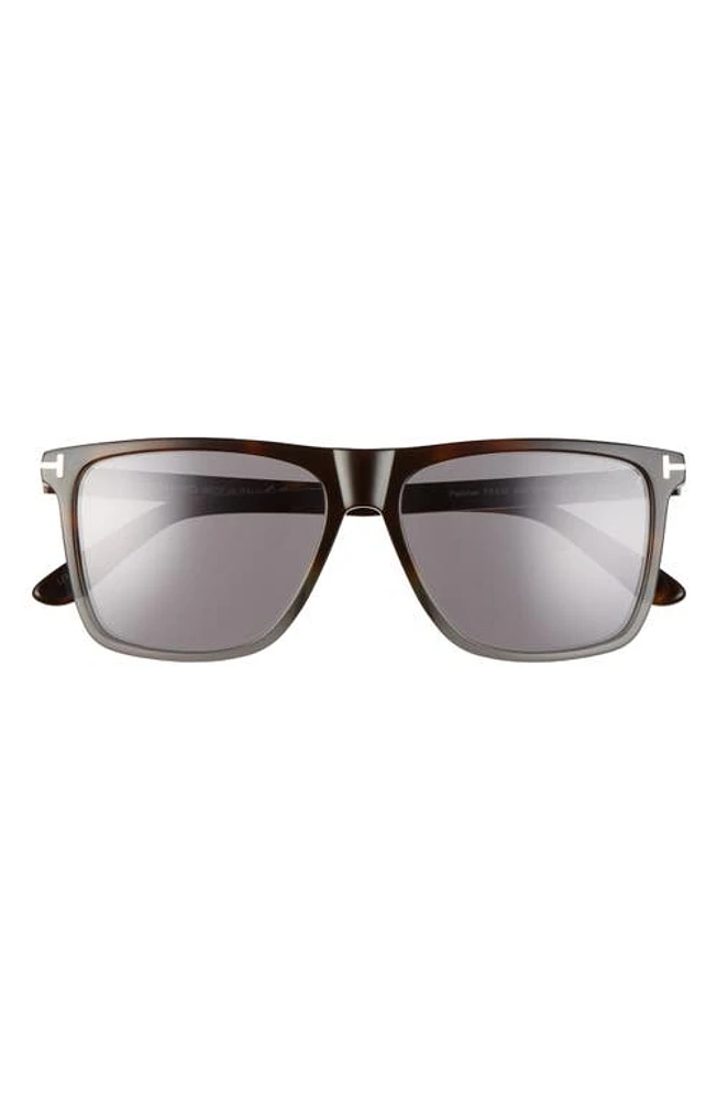 TOM FORD Fletcher 57mm Sunglasses in Multi Havana/Smoke Mirror at Nordstrom