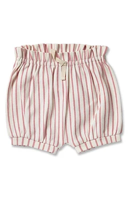 Pehr Stripes Away Organic Cotton Bubble Bloomers in Pink at Nordstrom, Size 3-6M