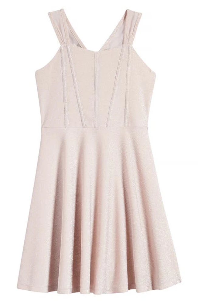 Ava & Yelly Kids' Metallic Skater Dress Pink Shimmer at Nordstrom,