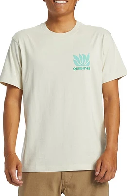 Quiksilver Natural Forms Organic Cotton Graphic T-Shirt Silver Birch at Nordstrom,