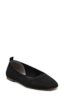 Lucky Brand Daneric Ballet Flat at Nordstrom,