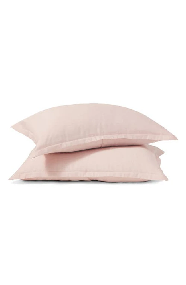 Buffy Breeze Eucalyptus Set of 2 Pillow Shams in Blush at Nordstrom