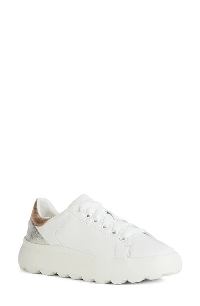 Geox Spherica EC4.1 Sneaker White/Rose Gold at Nordstrom,