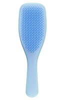 Tangle Teezer Ultimate Detangler Hairbrush in Blue/turquoise at Nordstrom