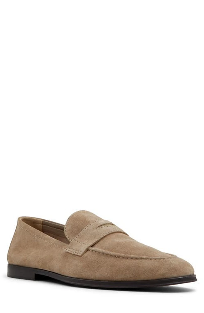 ALDO Journey Loafer Beige at Nordstrom,