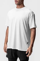 ASRV AeroSilver Oversize Tee at Nordstrom,