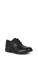 Geox Federico 7 Derby Black Oxford at Nordstrom