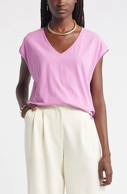 Nordstrom Sleeveless V-Neck Cotton T-Shirt at Nordstrom,