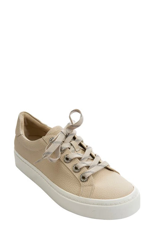 VANELi Ysenia Sneaker Cream at Nordstrom,