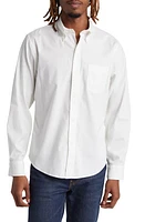 BUCK MASON Perfect Oxford Button-Down Shirt at Nordstrom,