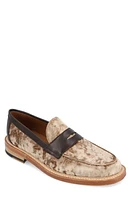 TAFT Fitz Suede Penny Loafer at Nordstrom,