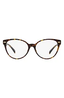 Versace 55mm Cat Eye Optical Glasses in Havana at Nordstrom