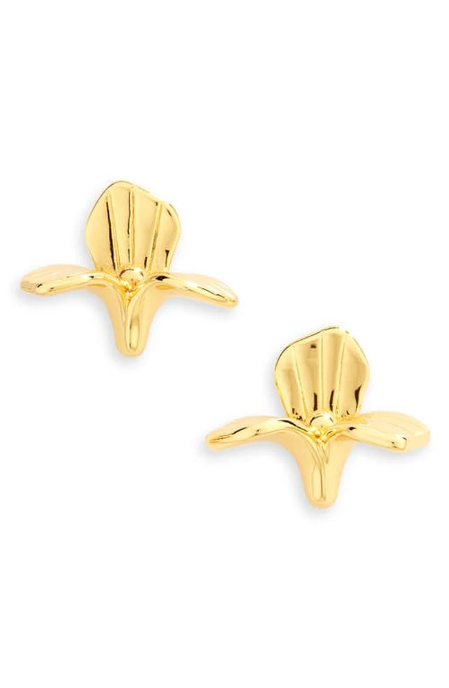 Lele Sadoughi Trillium Stud Earrings in Gold at Nordstrom