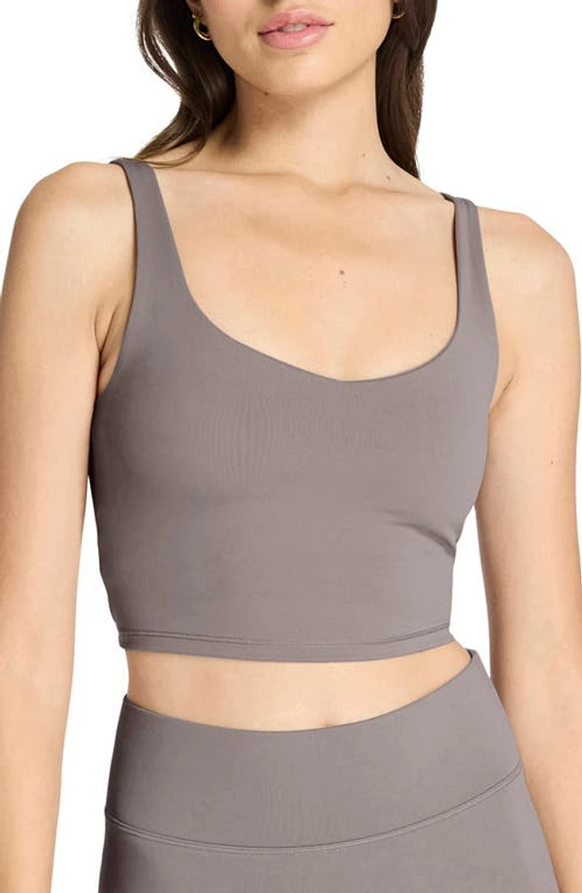 BANDIER Tempo Crop Bra Top Iron at Nordstrom,