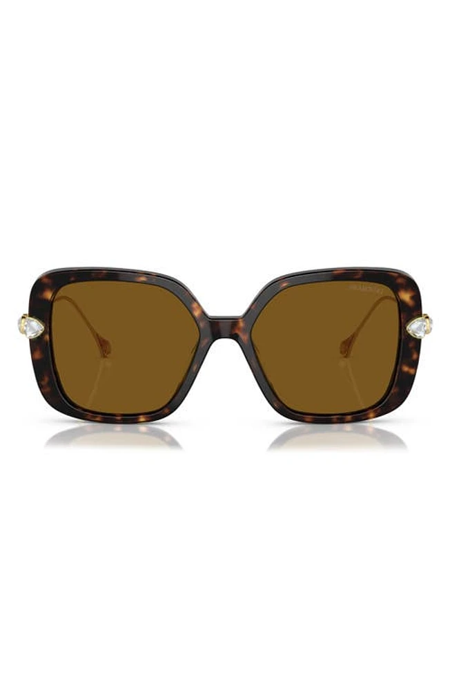 Swarovski 56mm Polarized Square Sunglasses in Havana at Nordstrom