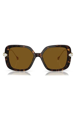 Swarovski 56mm Polarized Square Sunglasses in Havana at Nordstrom