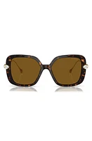 Swarovski 56mm Polarized Square Sunglasses in Havana at Nordstrom