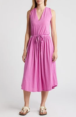 Nation LTD Brianna Sleeveless Pima Cotton Knit Midi Dress Rosebud at Nordstrom,