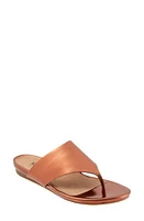 SoftWalk Chandler Sandal Copper at Nordstrom,