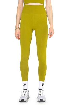 Halfdays Sophia Rib High Waist Legging in Mustang at Nordstrom, Size Medium