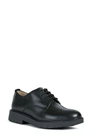 Geox Spherica EC1 Derby Black Oxford at Nordstrom,