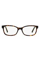 burberry 52mm Rectangular Optical Glasses in Dark Havana at Nordstrom