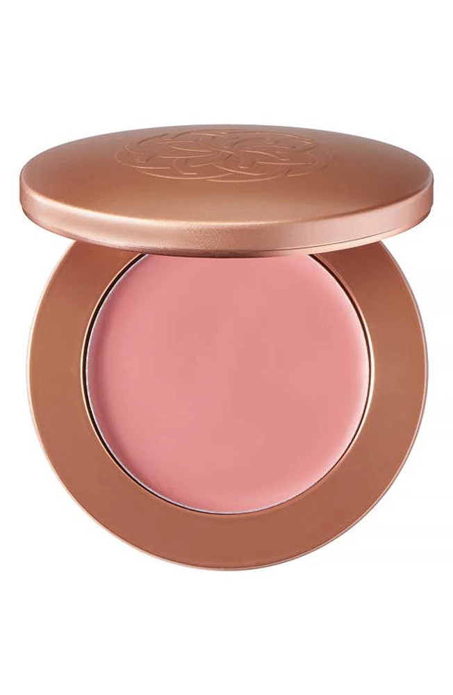 YENSA Super Serum Silk Cream Blush in Moody Mauve at Nordstrom