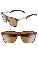 Smith Lowdown XL Steel 59mm ChromaPop Sunglasses in Matte Dark Tortoise/Brown at Nordstrom