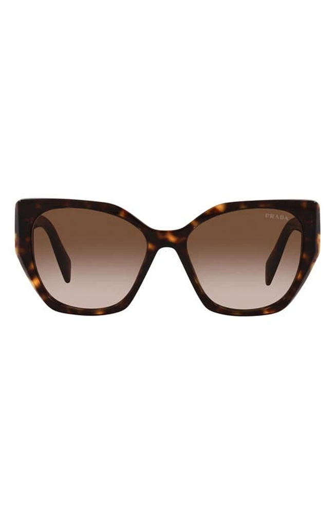 Prada 56mm Cat Eye Sunglasses in Tortoise at Nordstrom