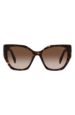 Prada 56mm Cat Eye Sunglasses in Tortoise at Nordstrom